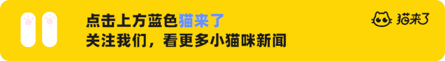 原配男去宠物店偷猫讨好女朋友!为什么不去抢银行,给女朋友寄500万?