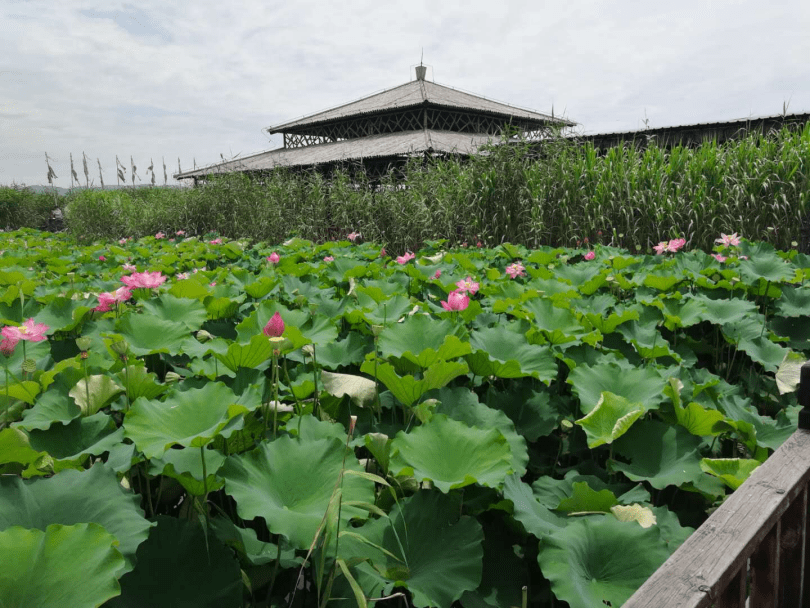 大驾旅行小朱自驾——莫干山下渚湖2日游