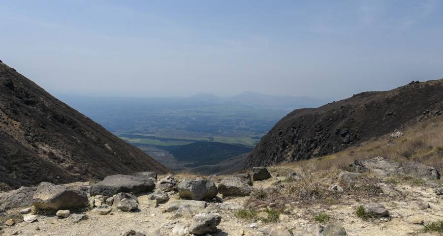 家电市场的恶性竞争百害无一利，今年当回归价值正轨！-家电圈官网