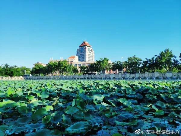 好消息！厦门全国第五！