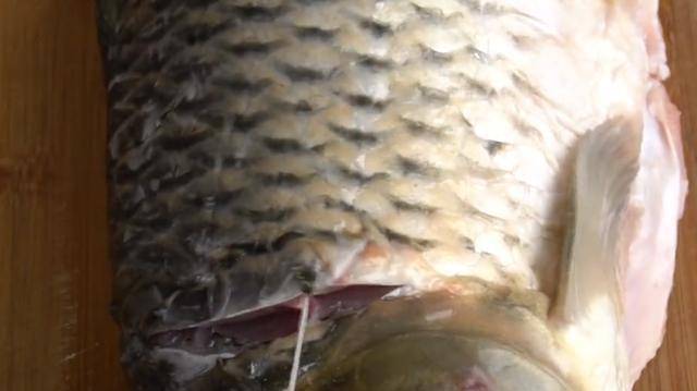 鱼怎么弄没腥味 a7dda034ab18478a93e4d01aa6f78856.jpeg