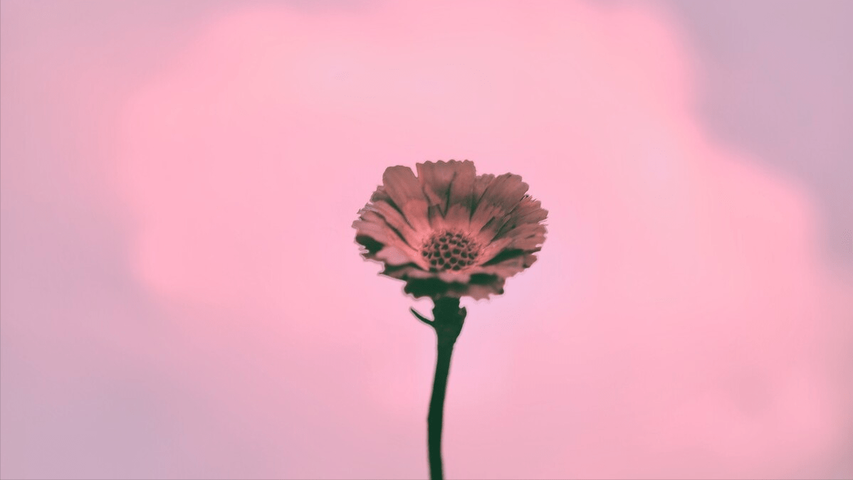 e2526680c18e4aba977b92f73d6eec3a.png