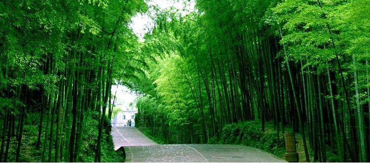 奇石馆|天目湖山水园