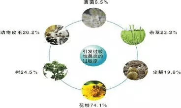 4a80fdfb01be459ab07cb6e324ebbc4c.png
