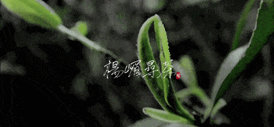 文章配图-2