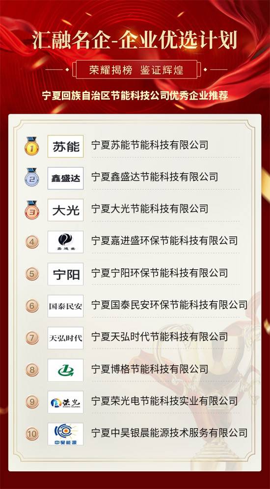 宁夏公司排名_宁夏天源石化公司图片