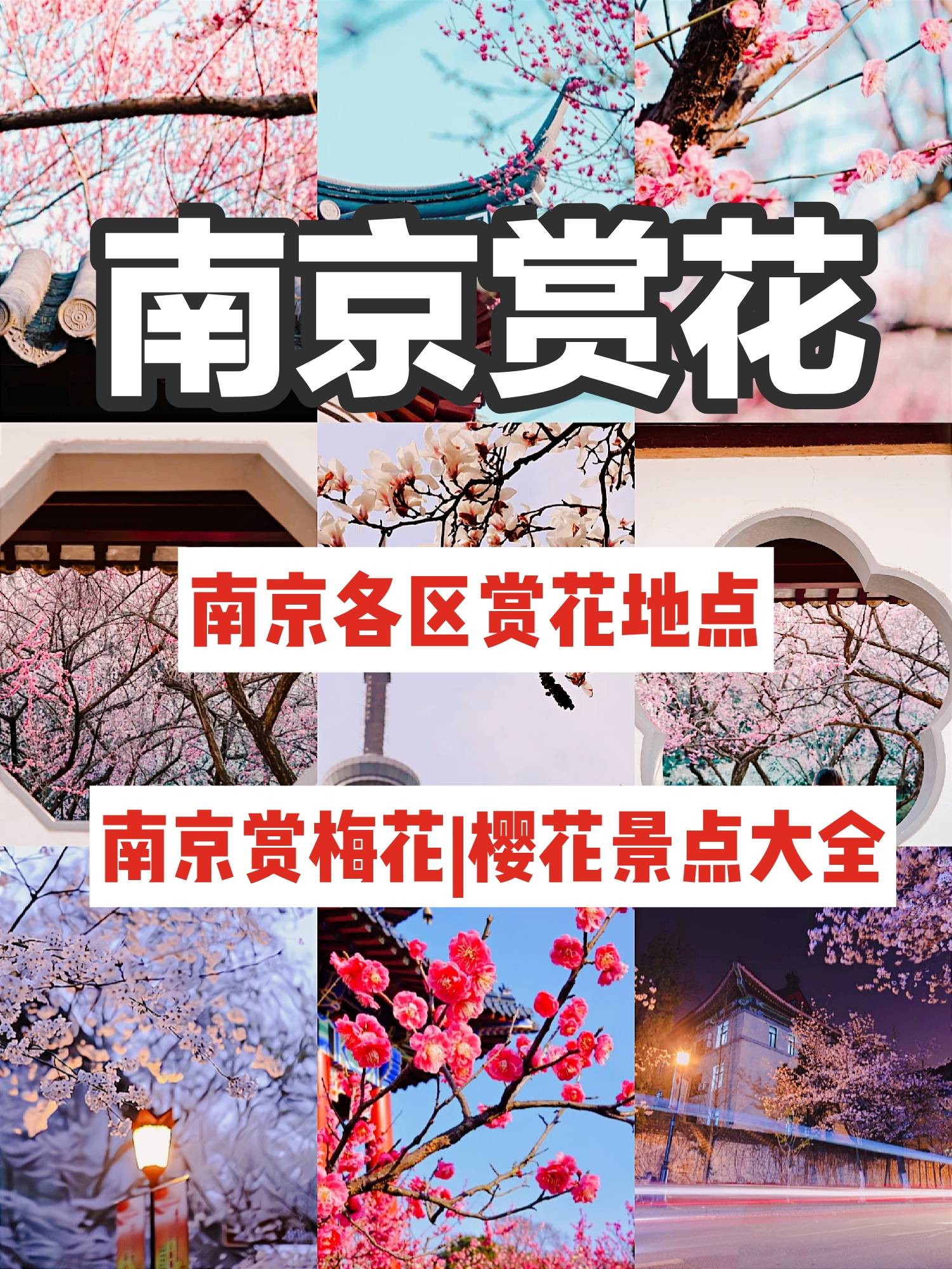 南京旅游春天赏花景点地图南京春天打卡拍照公园