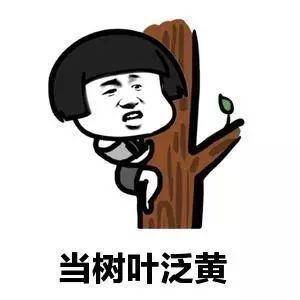 原创
开心笑话:画家到湖边写生,看到湖面上悠悠的荡漾着飘逸的金鱼