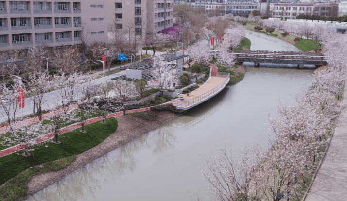 教育学最好的10半岛电竞所大学毕业轻松当老师就业稳考上很有面子(图4)