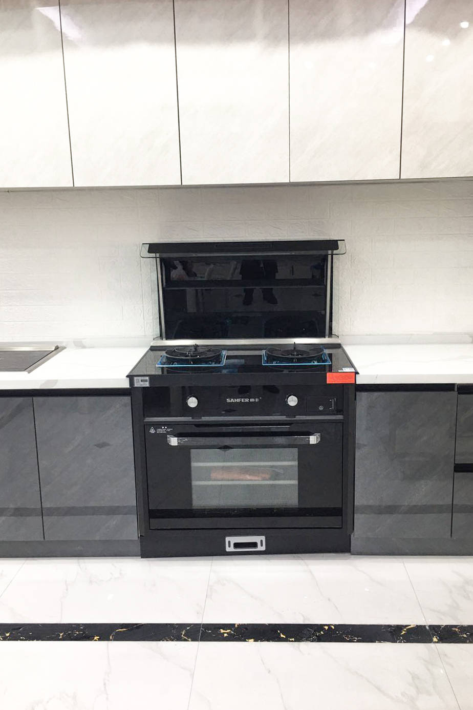 更智能卫生可靠帅丰荣耀s63蒸烤一体机让小馋猫爱回家