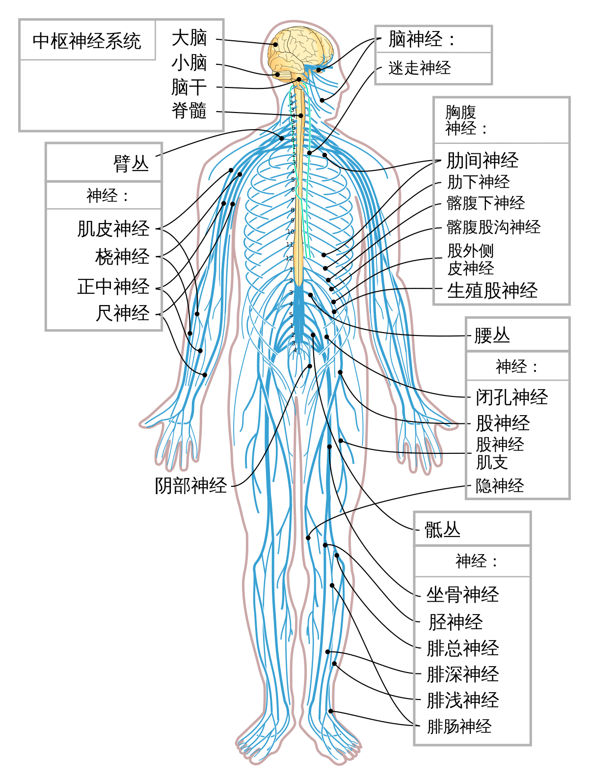 一个人死亡时知道自己正在死亡 原因有三点 关键在于大脑 因为