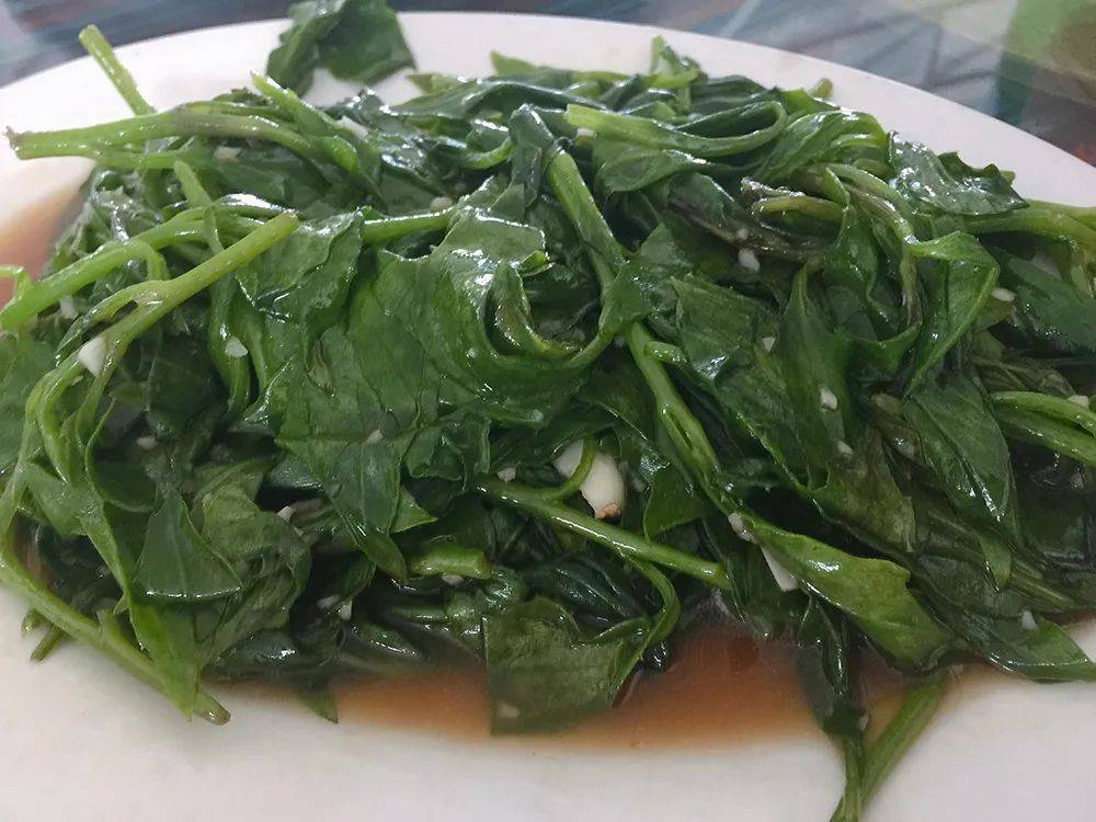 这种充饥野菜,野外遍地都是,味道清香甘甜,见到可别错过