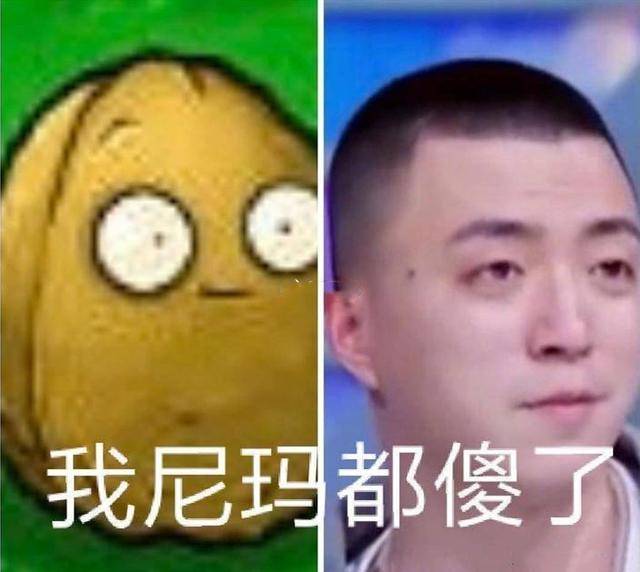 ae1595b7c02f47e08de6e1a3406deaf9.jpeg