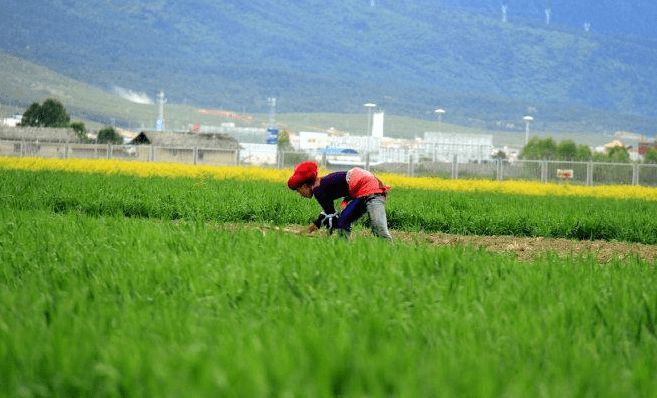 成语什么生什么义_成语故事图片(3)