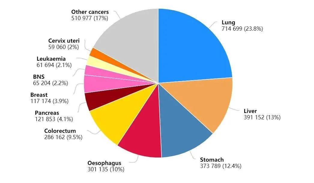 2021年死亡人口_2021年老年人口比例图(3)