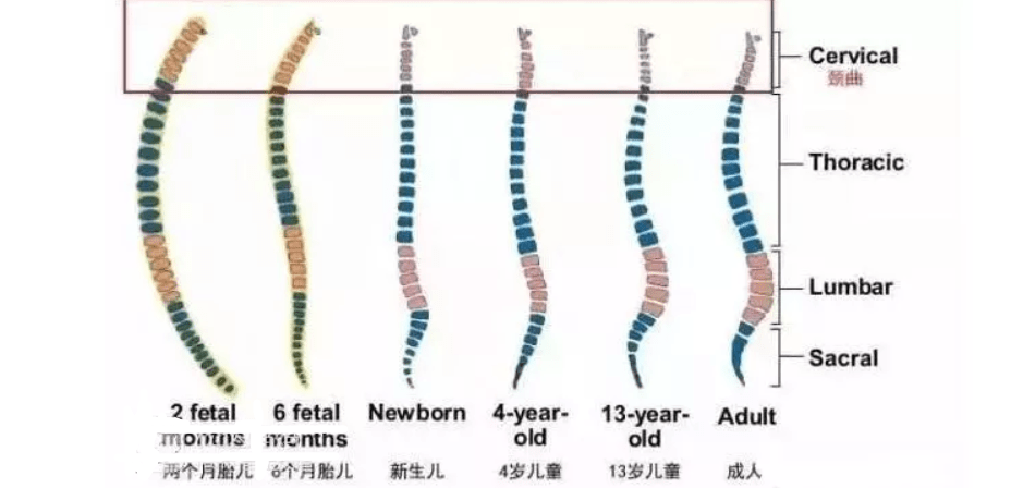 15af3c31a2a14b988094a5d4d123ecf2.png