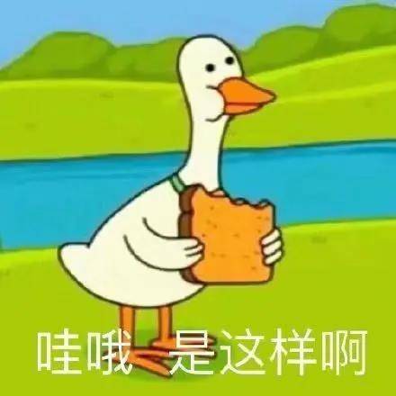 beca9230eb4e4800ac50d25a5e6d4265.jpeg