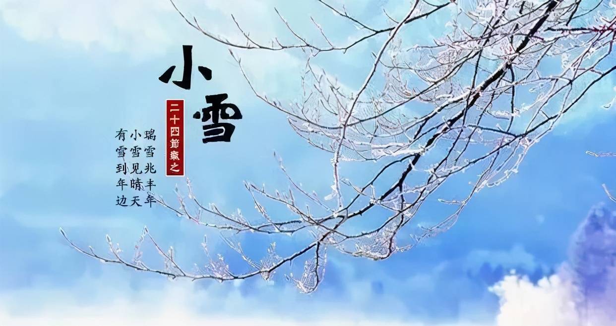 什么雪什么皑成语_雪菜是什么菜图片(3)