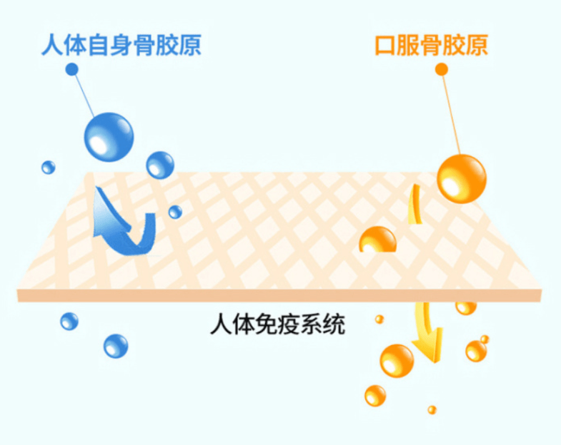 de4a727462014d8f81a21e40736b5d79.png