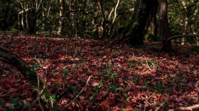 终止合作16个月后，惠而浦官方为何仍在批量卖三洋洗衣机-家电圈官网