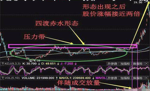 形態的市場解析