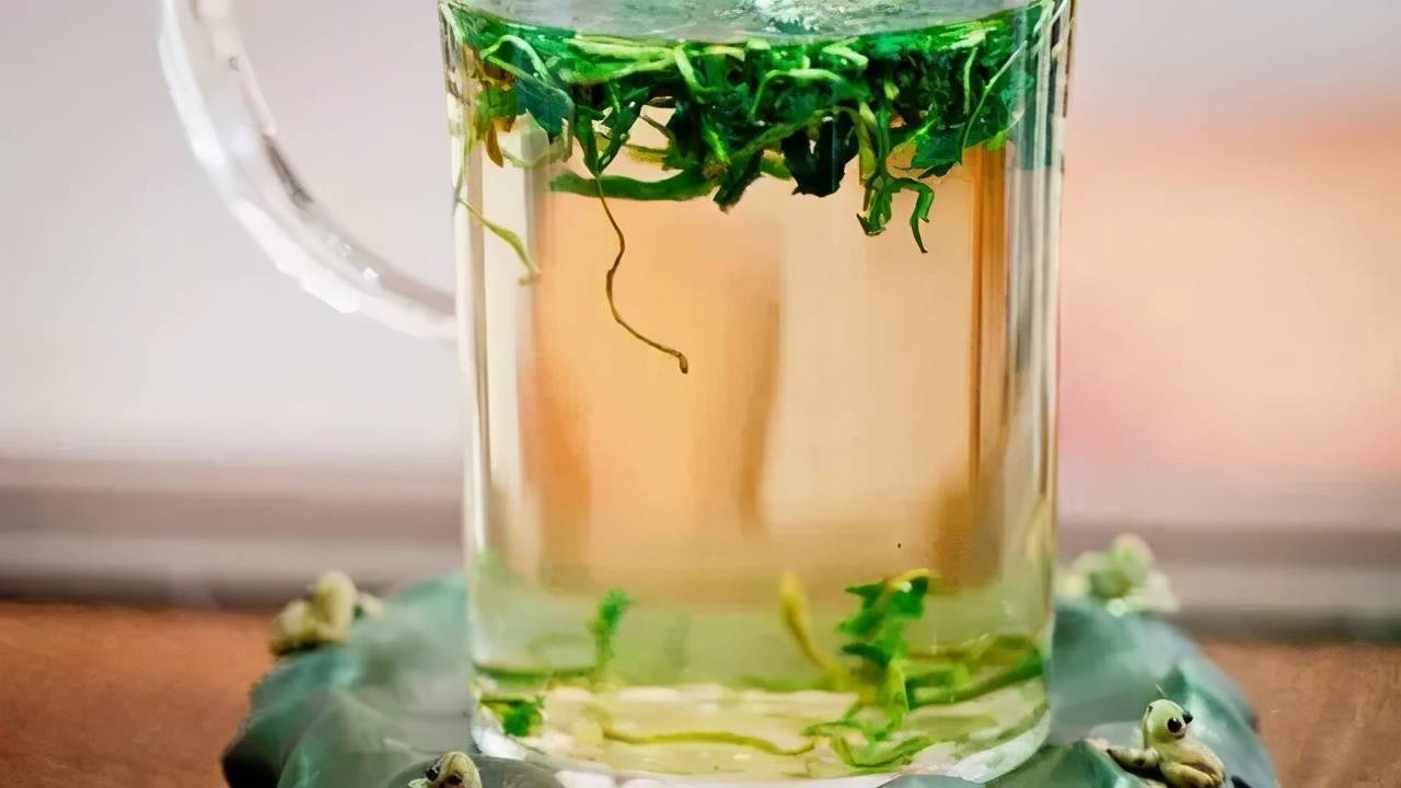 原创养生专家在这三种情况下喝蒲公英泡水营养价值加分