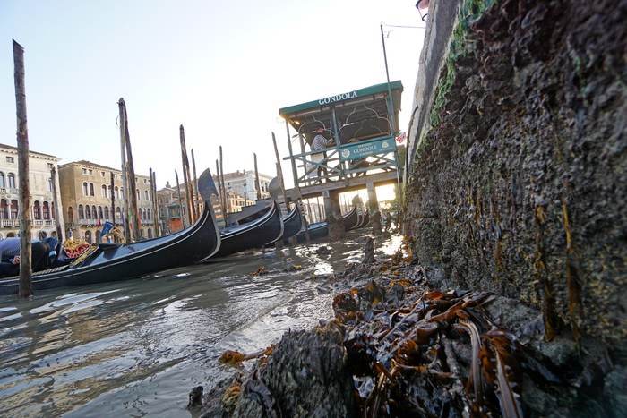 河道干涸、贡多拉船停摆，水城威尼斯的水去哪儿了？