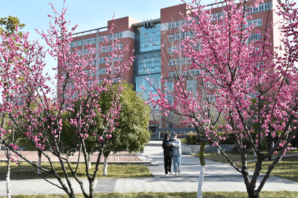 魅力陝西行喜看春色滿園關不住寶雞文理學院書香更濃