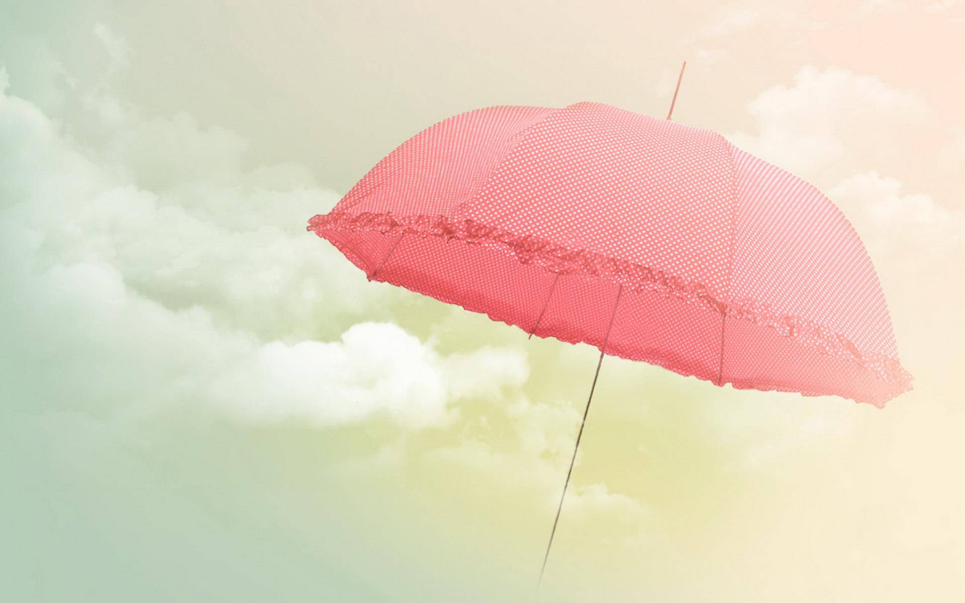 原创你挽回不了一个执迷不悟的人