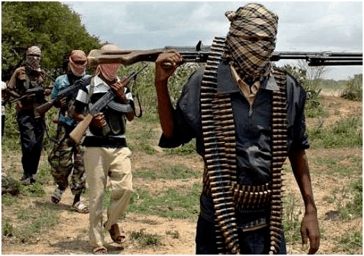 匪徒持枪绑架50多名乘客烧毁5辆车,警方:所有人下落不明