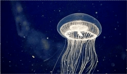 cd12c435ea9f418f876a35336fd0a8b7.png