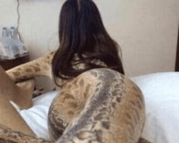 出差一年才能回家猜一成语_男人回家猜一生肖(3)