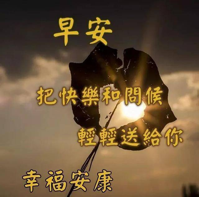 fc9f13b051764a3e96293fe7a0178248.jpeg