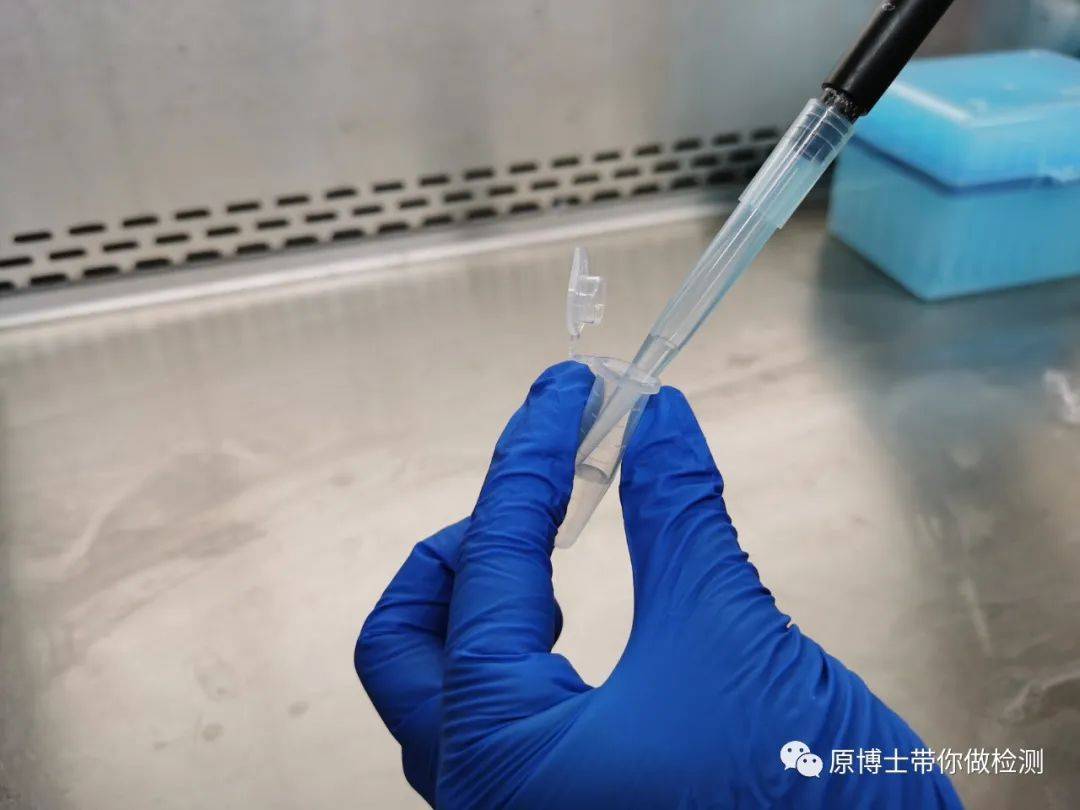 真实案例pcr实验室污染事件处理