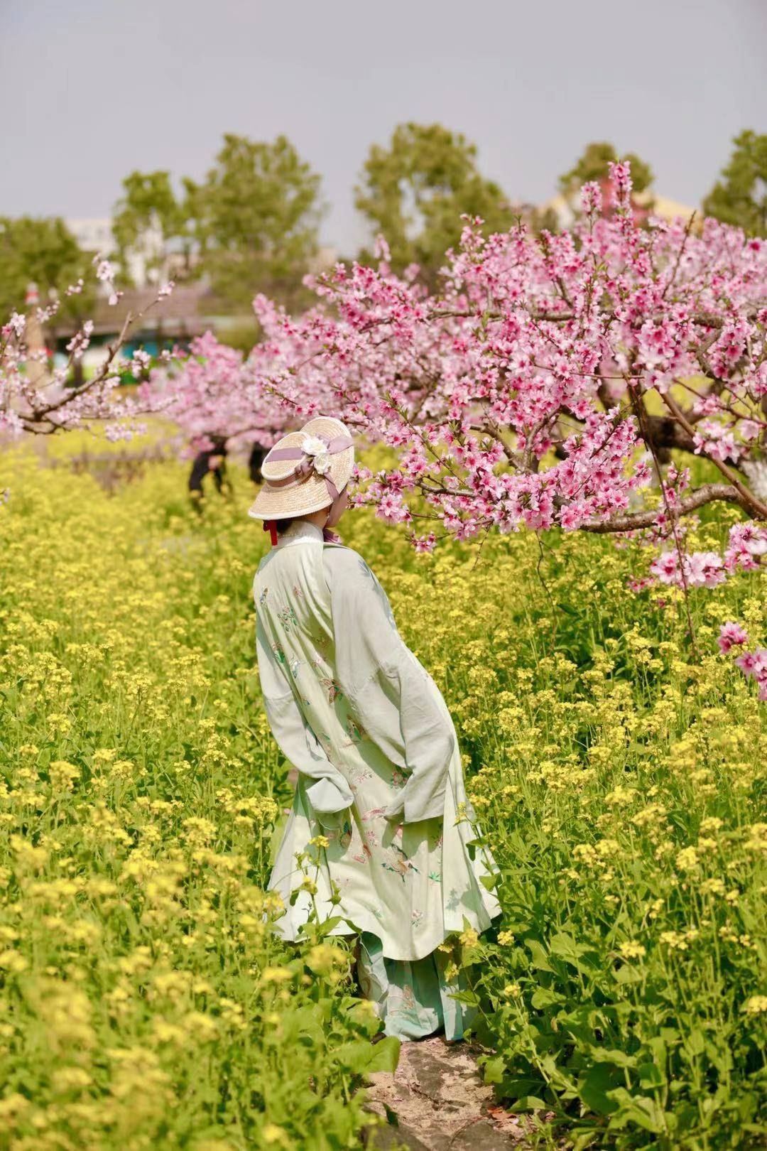 桃花季|杭州周边最美赏花地（附吃喝玩乐攻略）