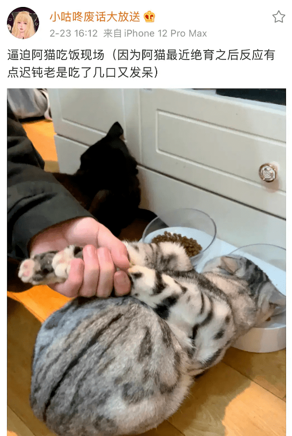 原创网红机智张直播无美颜无滤镜暴露真实长相妆感很脏卧蚕像黑眼圈