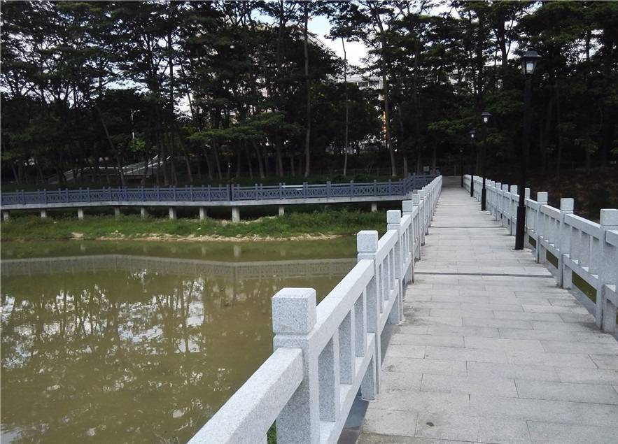 深圳打工仔：租住在龙华罗屋围，房租450，附近还有个小公园