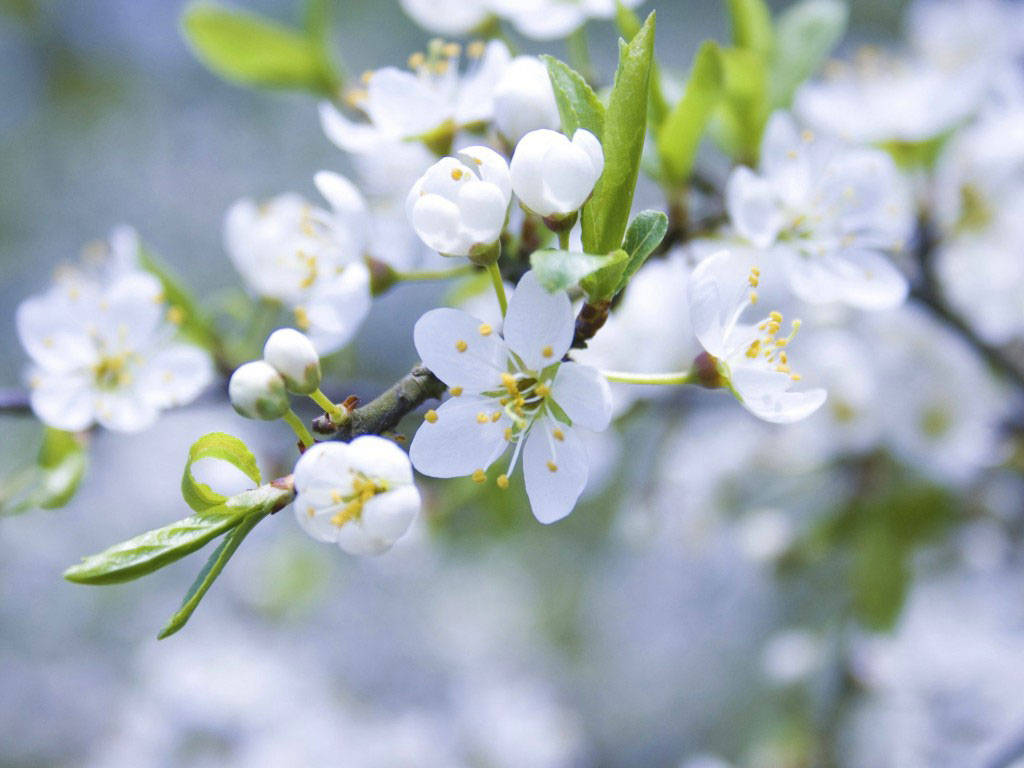 3月8日 3月13日 星座运势前三名 金牛座