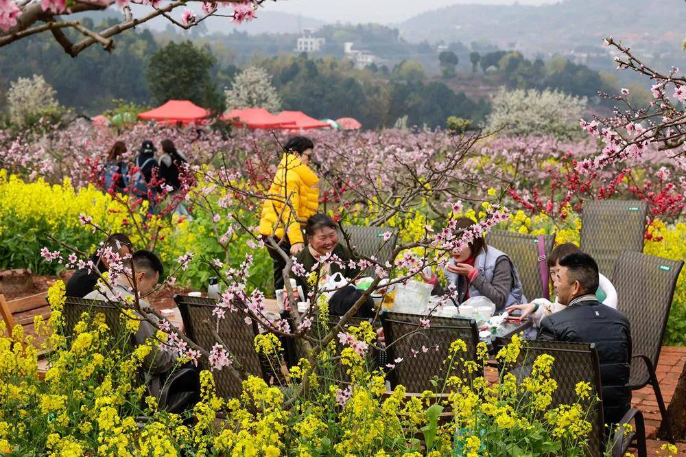 據瞭解,在山泉鎮桃源村,桃花故里景區,大佛村,百工堰景區,同安街道