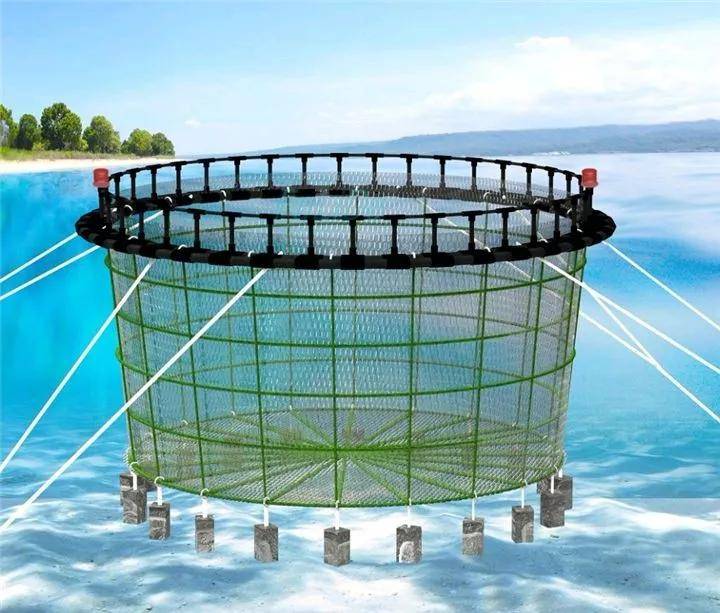 寻渔记丨深海网箱带你认识一下