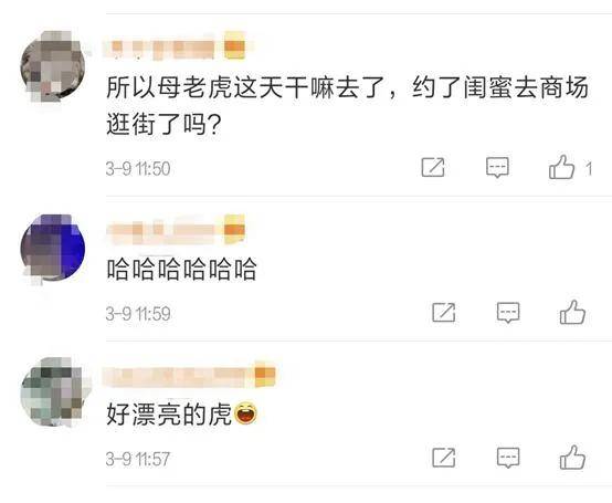 三八妇女节母老虎都放假一天，你放假没？