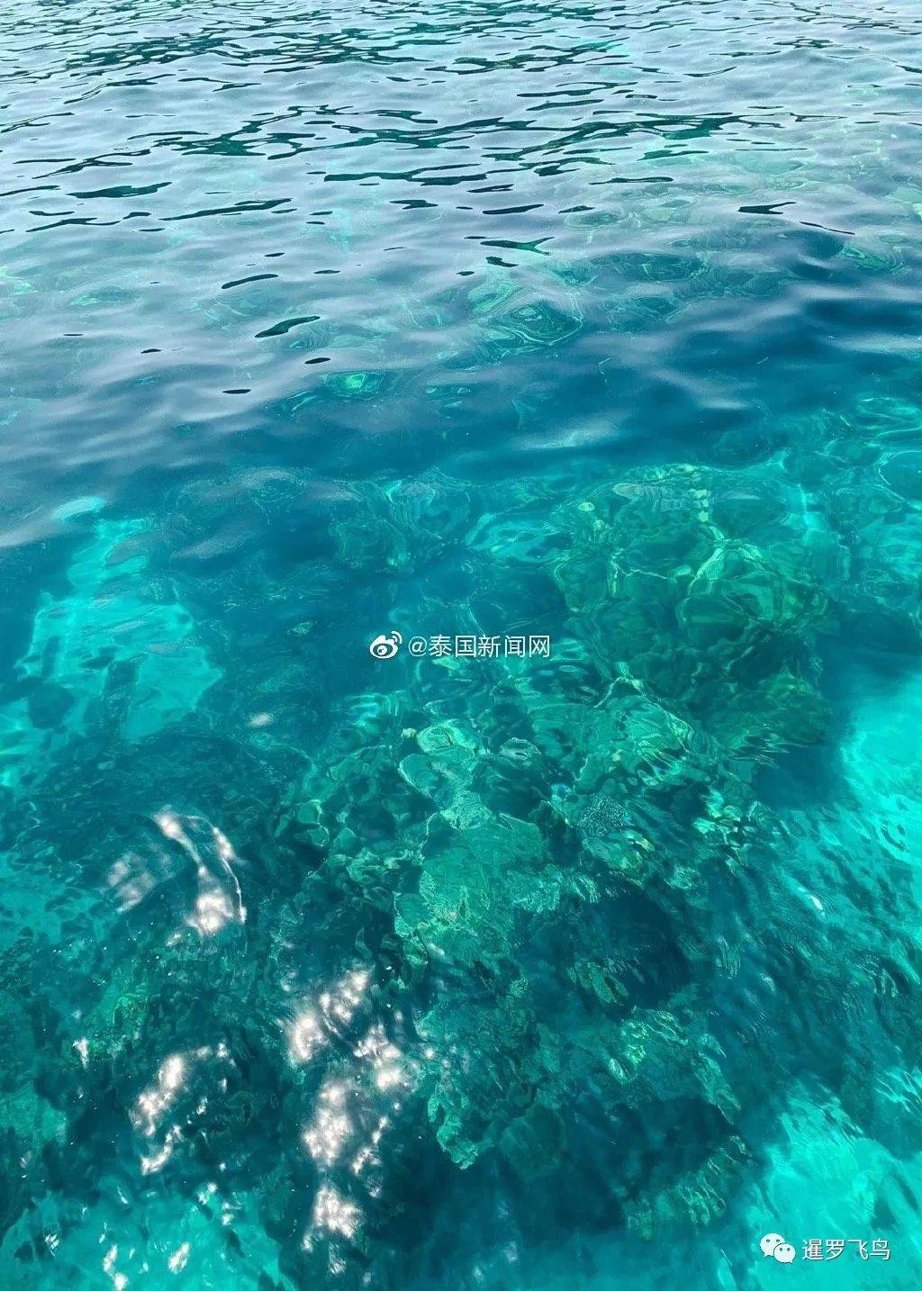 泰国攀牙府素林群岛，自由潜水天堂海岛之旅