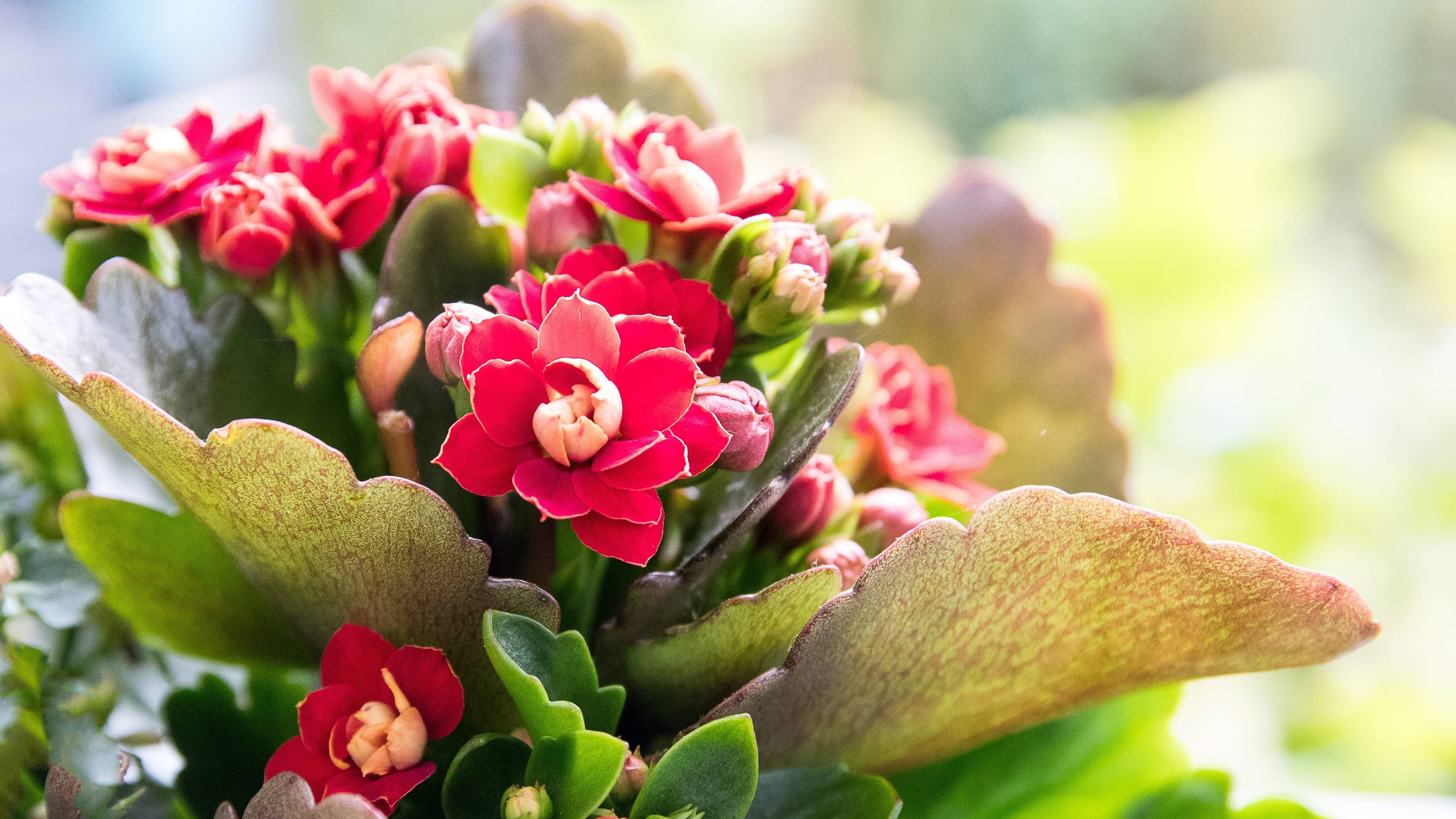 原创3月10日星座运势信心十足迎难而上的四大星座