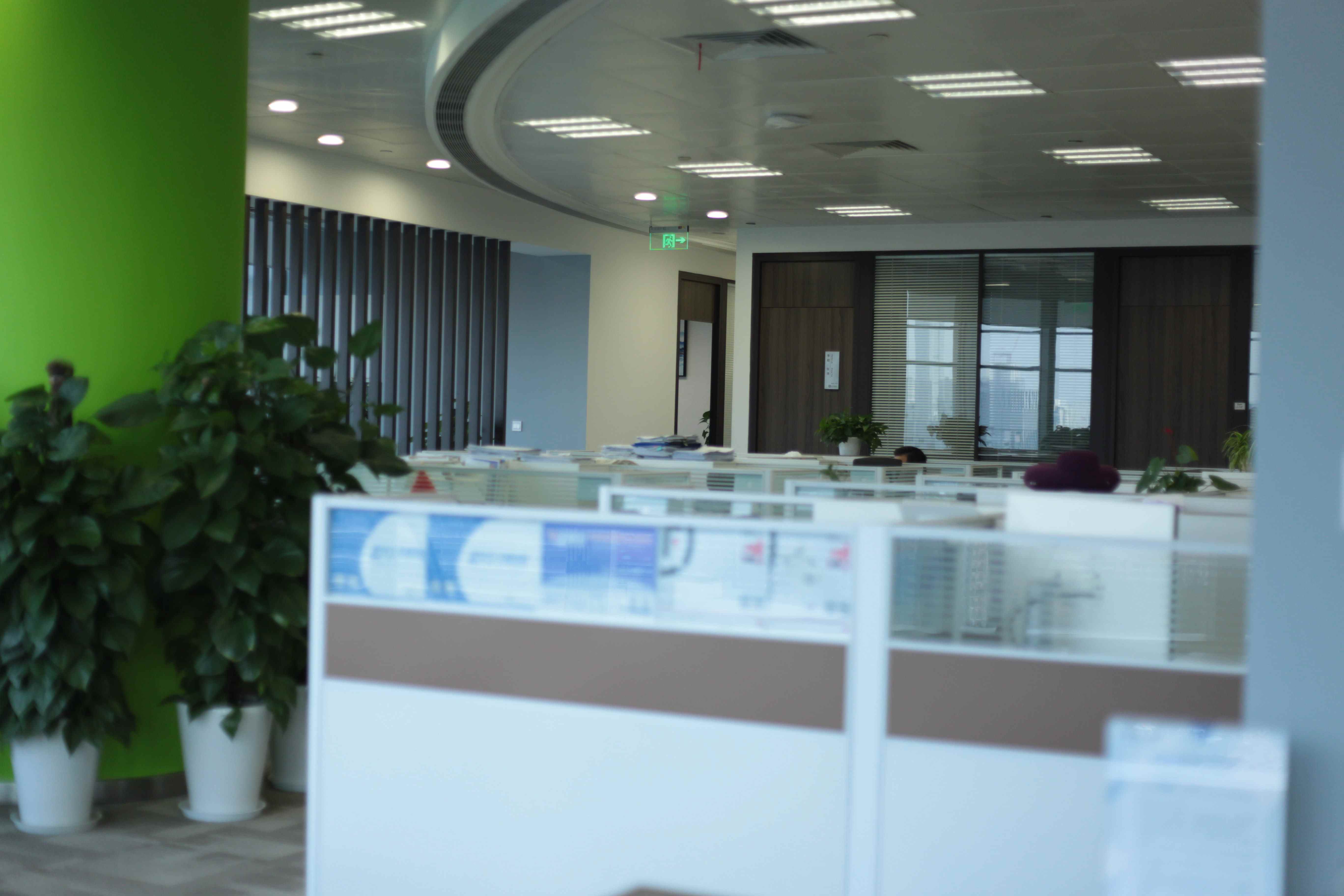 ST同洲“财务造假”调查完毕：16名相关责任