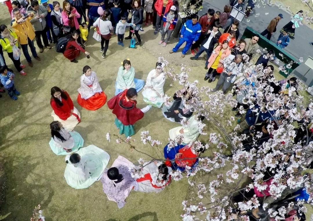 2021上海樱花节汉服游园会且待君来，今年的“花神”会是你吗？