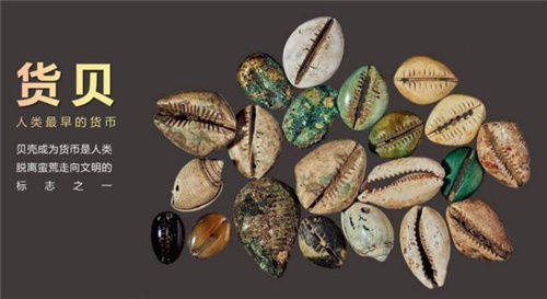 原创古人用贝壳当货币为啥不多捡点一夜暴富学者不捡才是聪明人