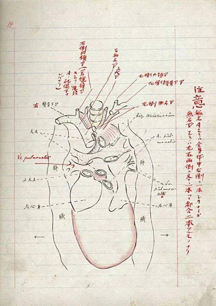 藤野先生认为没有特别优待鲁迅？1998年2月9日首届鲁迅文学奖揭晓