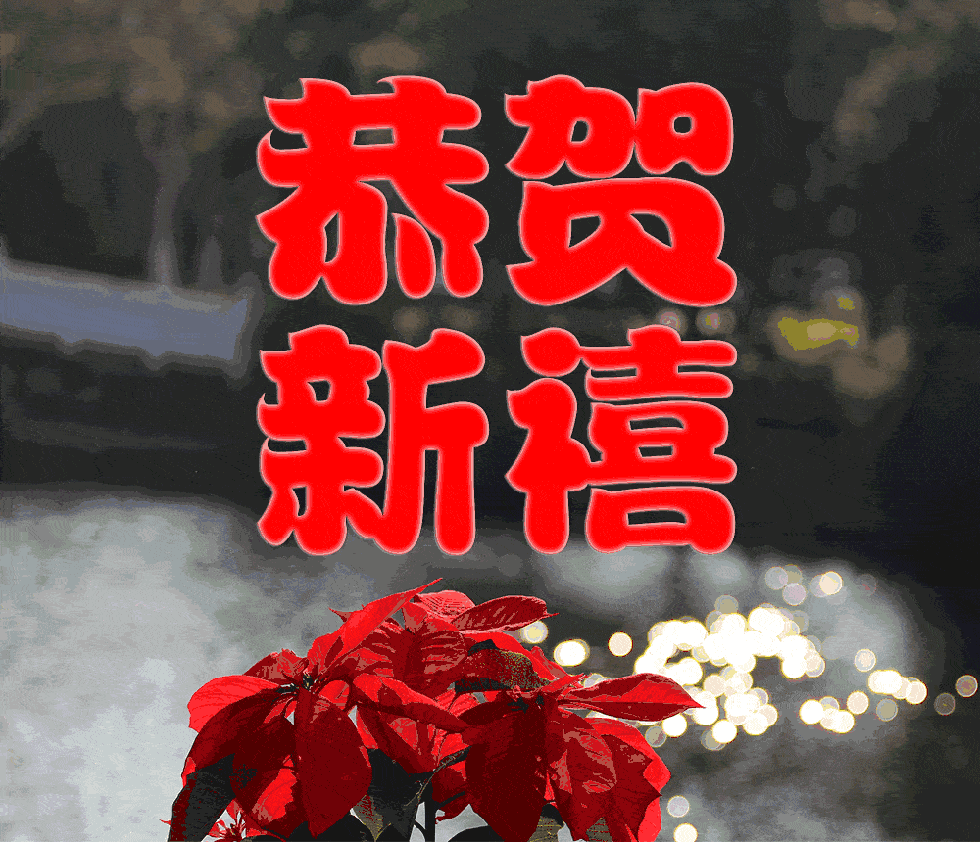 原创2021年7张最创意漂亮不用打字就可以聊天的早上好动态表情图片