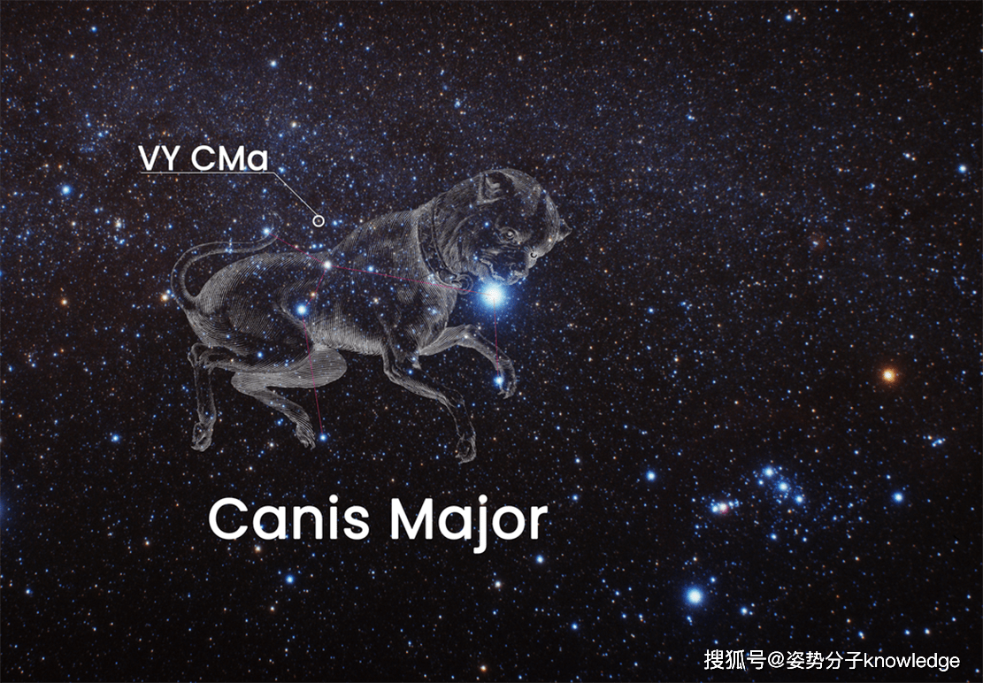 的宇宙最大恒星,如今像打了激素,未来或将在沉寂中变成黑洞_大犬座