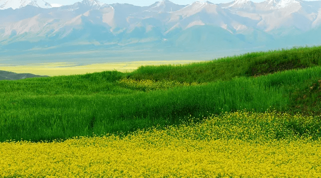 契合国人s60上演完美过弯带你去看早春 黄花田 江西